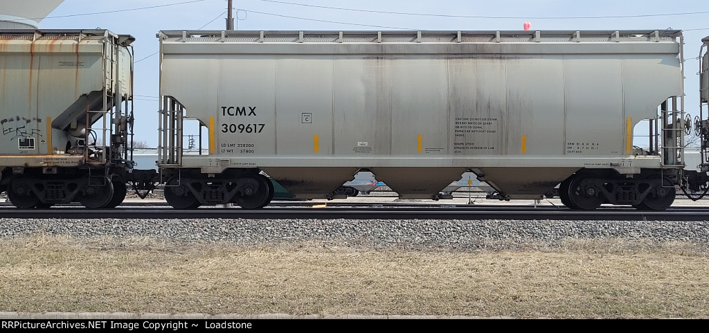 TCMX 309617